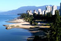 Library The Impact of New Government Policies on Basic Commodity Prices