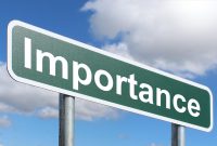 The Importance of Digital Literacy in the Age of Fast Information